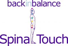 spinaltouchlogo